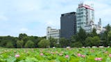 上野のホテル・旅館のおすすめ人気ランキング【2026年6月】 4