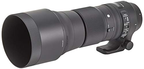 150-600mm F5-6.3 DG OS HSM Contemporary 3