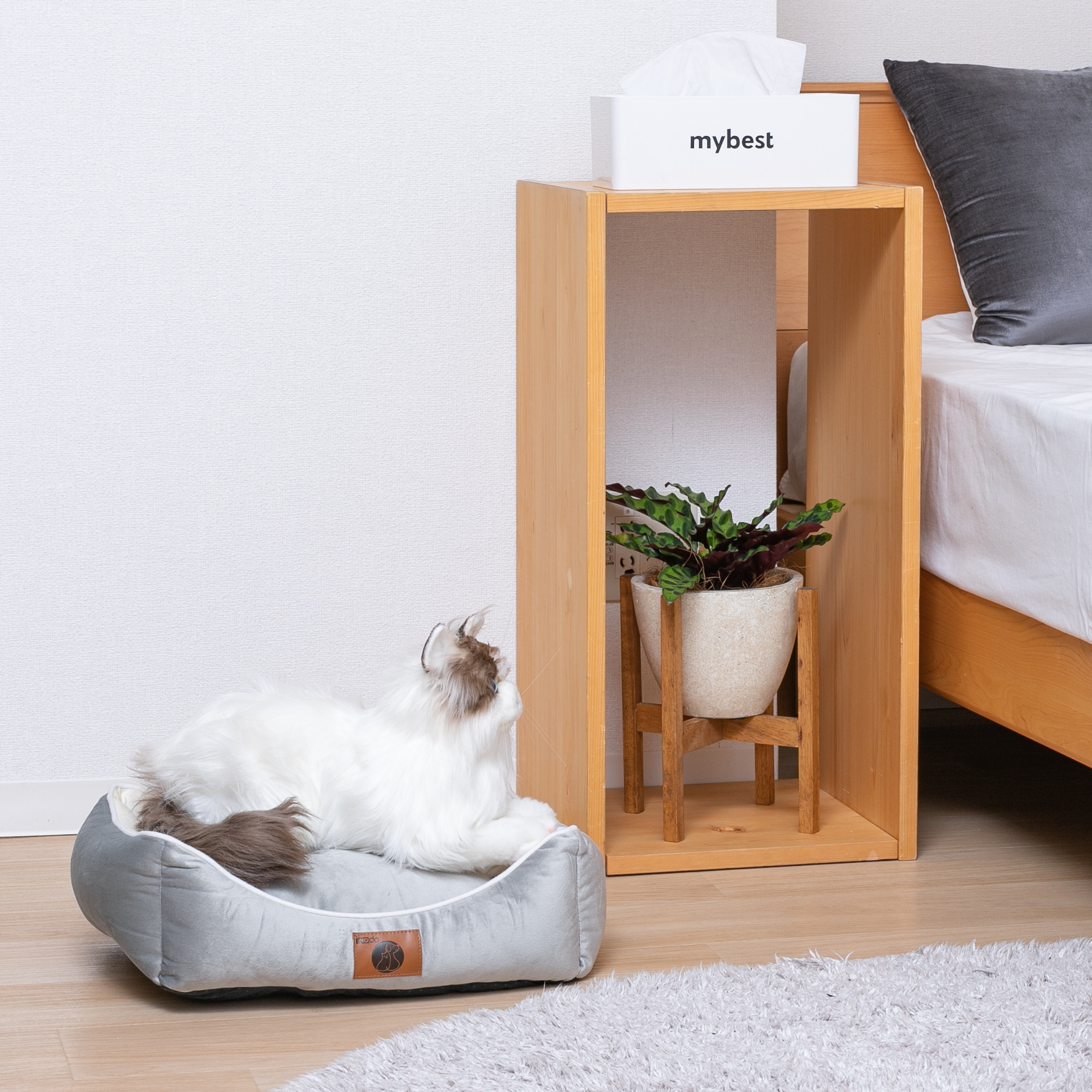 透明な猫ベッド 冬季保温 クッション付き 新品.未使用JA3 【公式