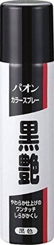 パオン カラースプレー 黒艶  1