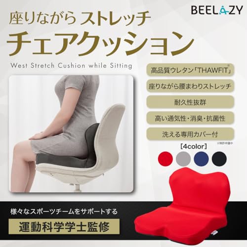 骨盤矯正クッションのおすすめ人気ランキング【2026年5月】 | マイベスト