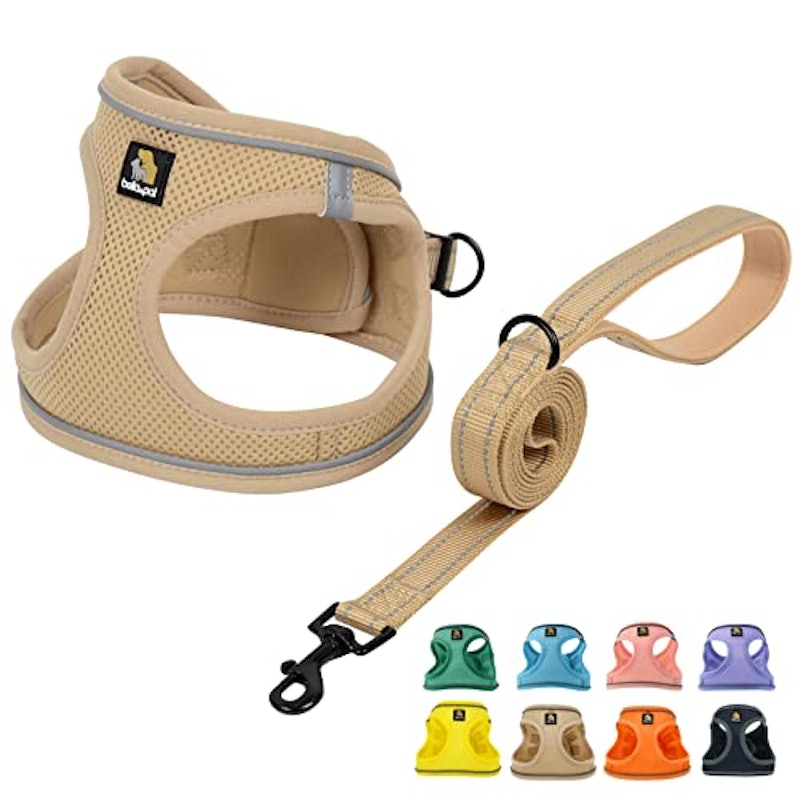犬用 ハーネス リードセット 1