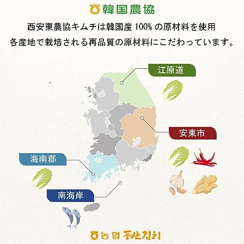 白菜キムチ 10