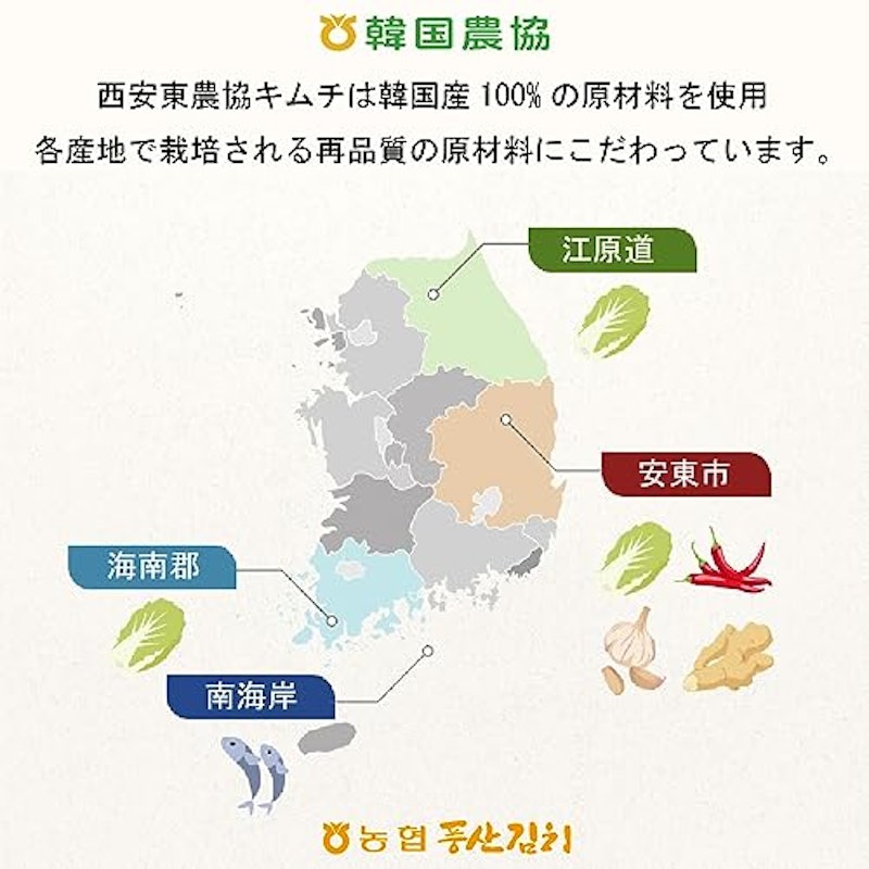 白菜キムチ 10