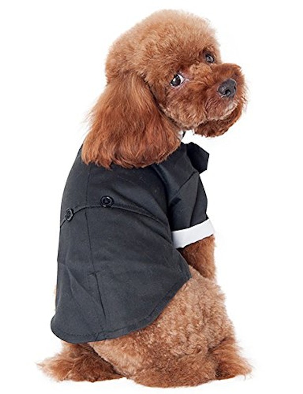 犬服猫服タキシード 3