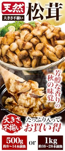 天然松茸 1kg 3