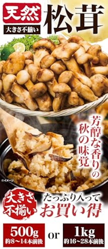 天然松茸 1kg 3