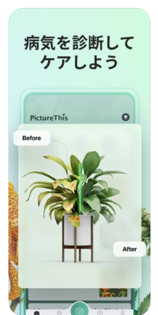 PictureThis 2