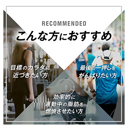 エキストラ バーナー 3