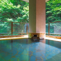 時音の宿 湯主一條 6
