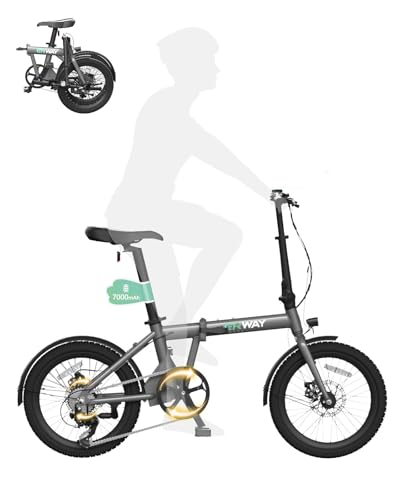 電動自転車 1