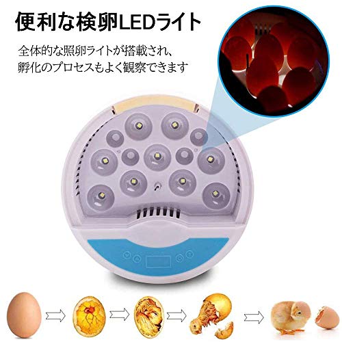 自動孵卵器 2
