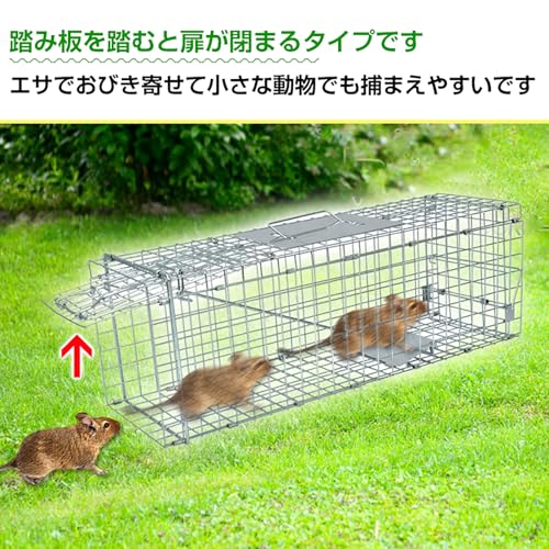 捕獲器 3