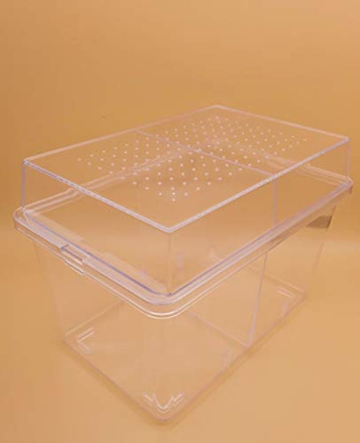 21年 カブトムシ用ケースのおすすめ人気ランキング10選 Mybest 21年 カブトムシ用ケースのおすすめ人気ランキング10選 Mybest