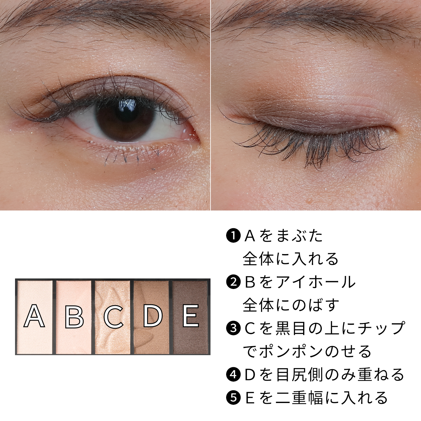 イプノパレット 4