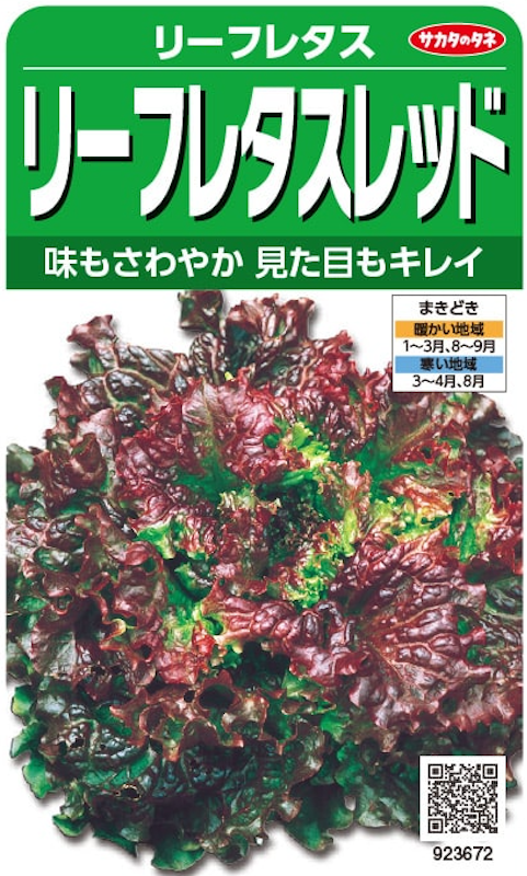リーフレタス・レッド 1