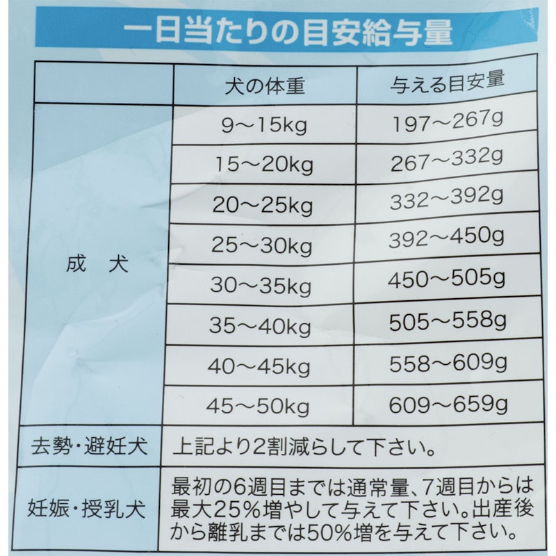 アダルトドッグ 5