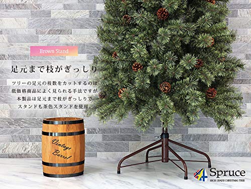 Spruce ヨーロッパトウヒツリー 5