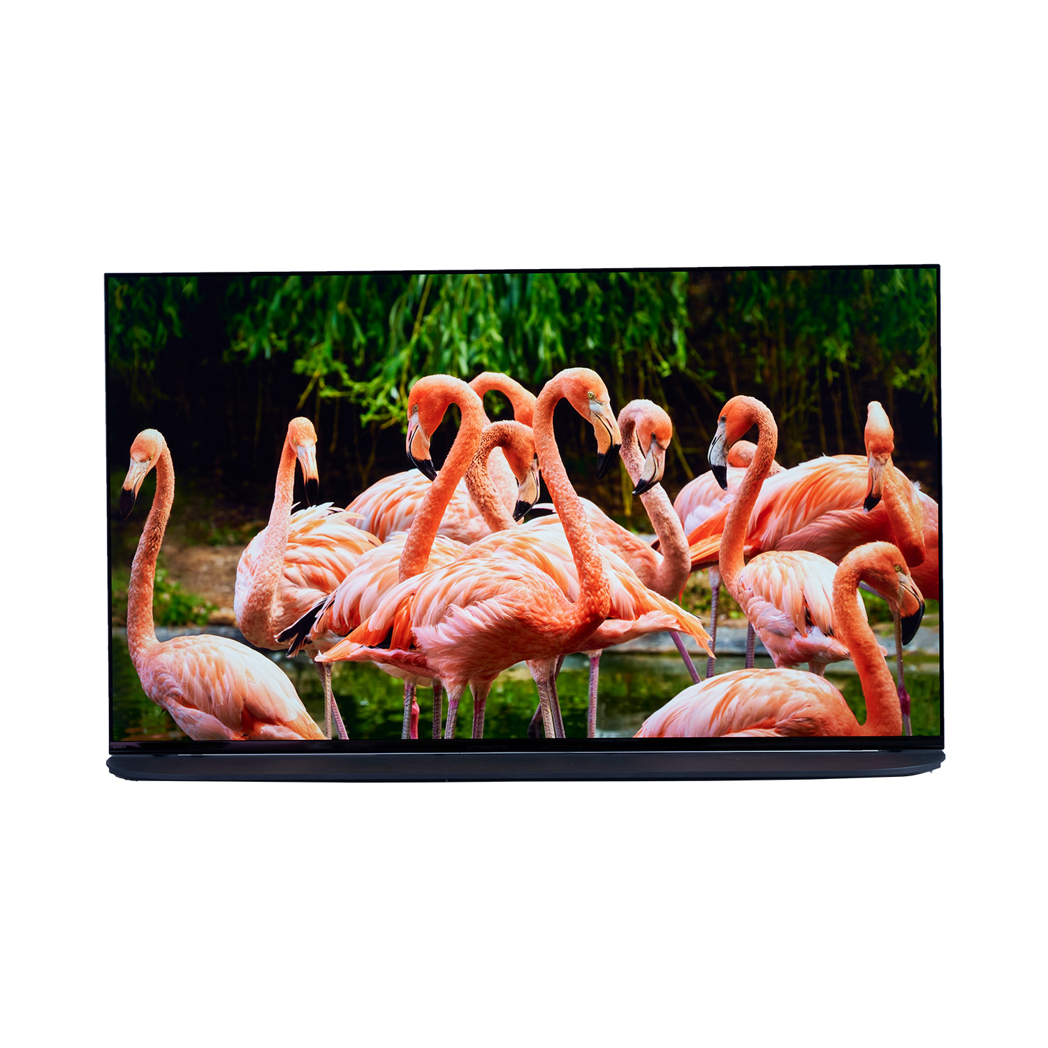 SONY BRAVIA 有機EL　65インチ Amazon | ソニー 65V型 4K 有機EL テレビ ブラビア XRJ-65A80K