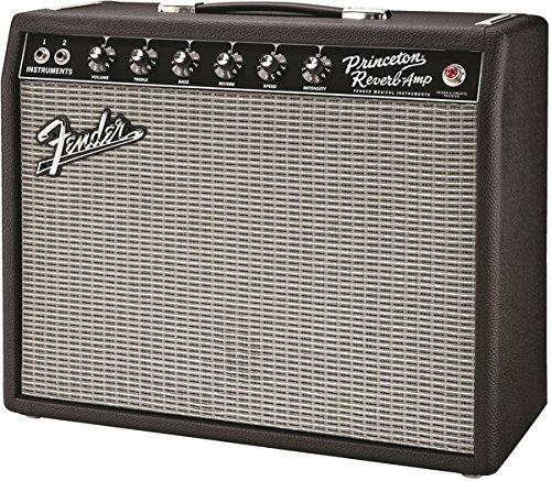  '65 Princeton Reverb 2