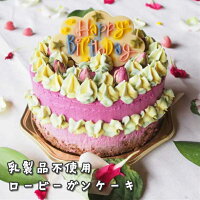 バースデーローケーキ カラフル ネイチャー 1