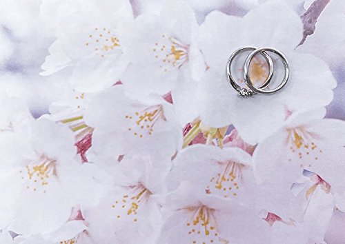 婚姻届 Spring Memories 5