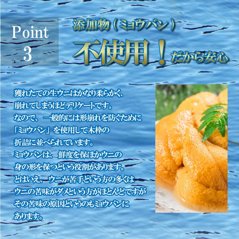 北海道産塩水ムラサキウニ 5