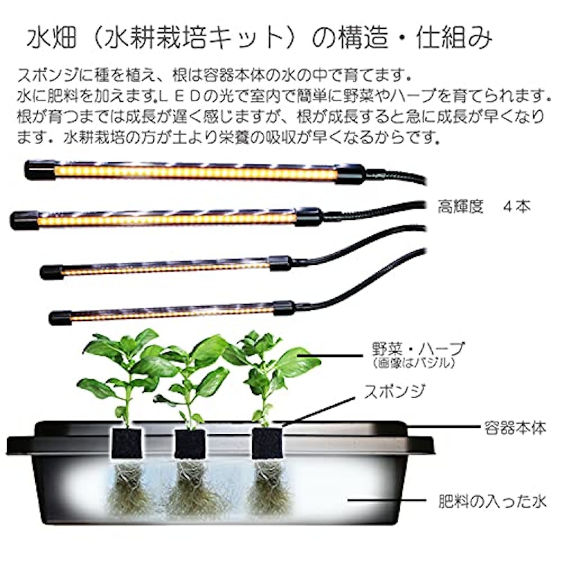LED付き水畑 2