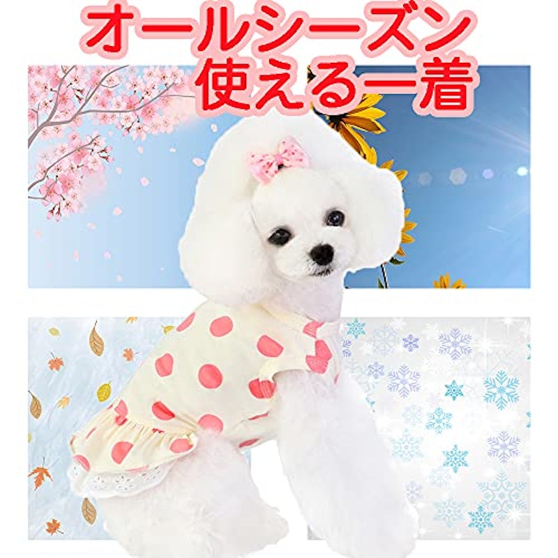 犬服 水玉シャツ 5
