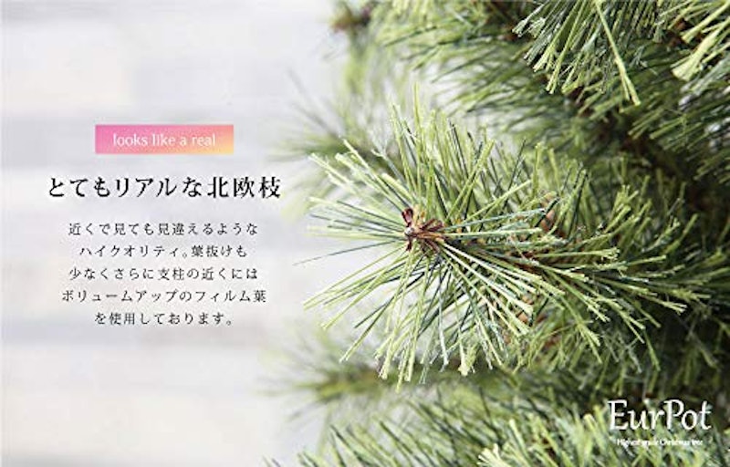 ドイツトウヒツリー 5
