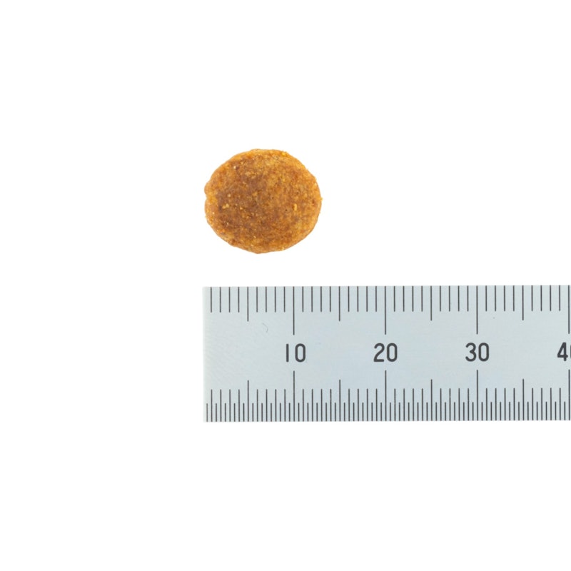 成犬用 健康維持用 チキン小粒 6