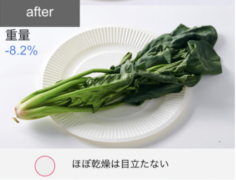 プラズマクラスター冷蔵庫 21