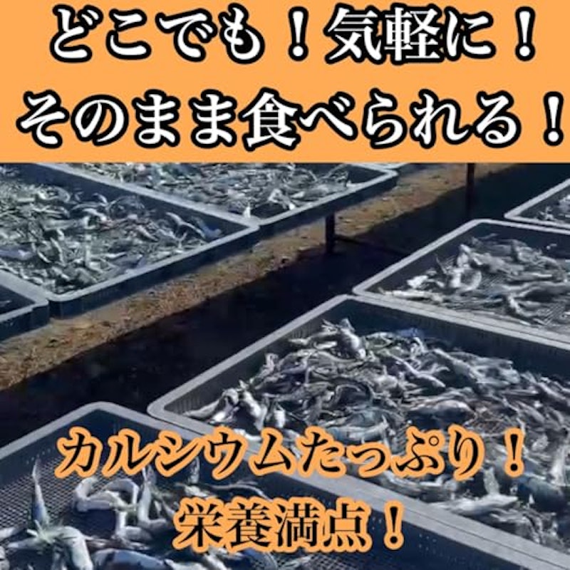 煮干し 3