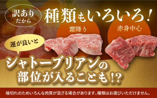 長崎和牛 ヒレサイコロステーキ 5