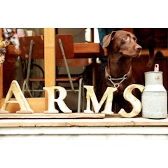 東京都内のドッグカフェおすすめ人気ランキング選 サロン ホテル付きのお店も Mybest 東京都内のドッグカフェおすすめ人気ランキング選 サロン ホテル付きのお店も Mybest