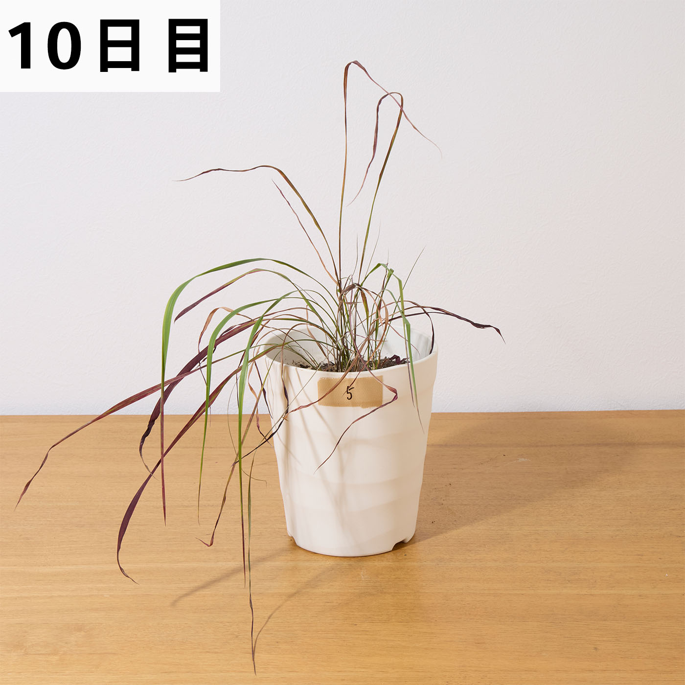 一刀両断 18