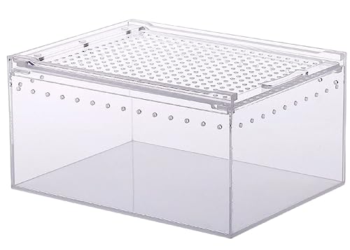 爬虫類ケージ 1