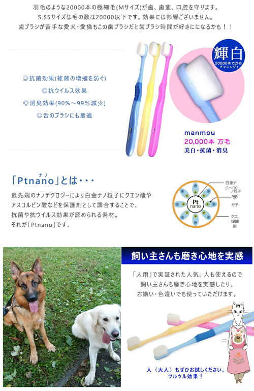 天使の羽ブラシ 4