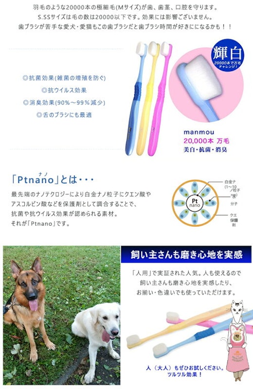 天使の羽ブラシ 4