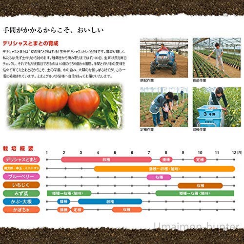 トマトゼリー 7