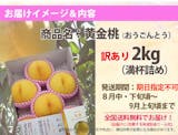 桃のおすすめ人気ランキング【おいしいブランド・品種は?】 5