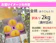 花樹有 加藤農園 黄金桃 訳あり 1