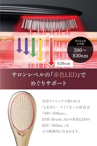 EMSブラシ 5