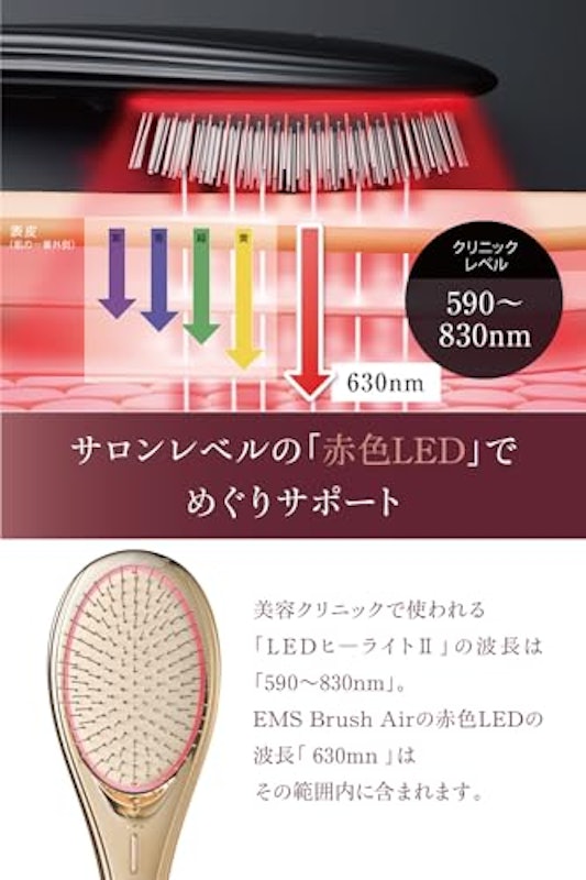 EMSブラシ 5