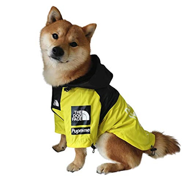 21年 犬用レインコートのおすすめ人気ランキング9選 Mybest 21年 犬用レインコートのおすすめ人気ランキング9選 Mybest