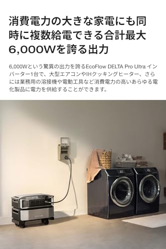 DELTA Pro Ultra スタンダードセット 4