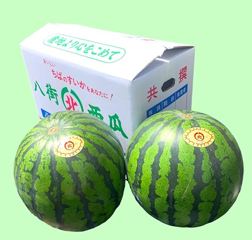 大玉すいか 1