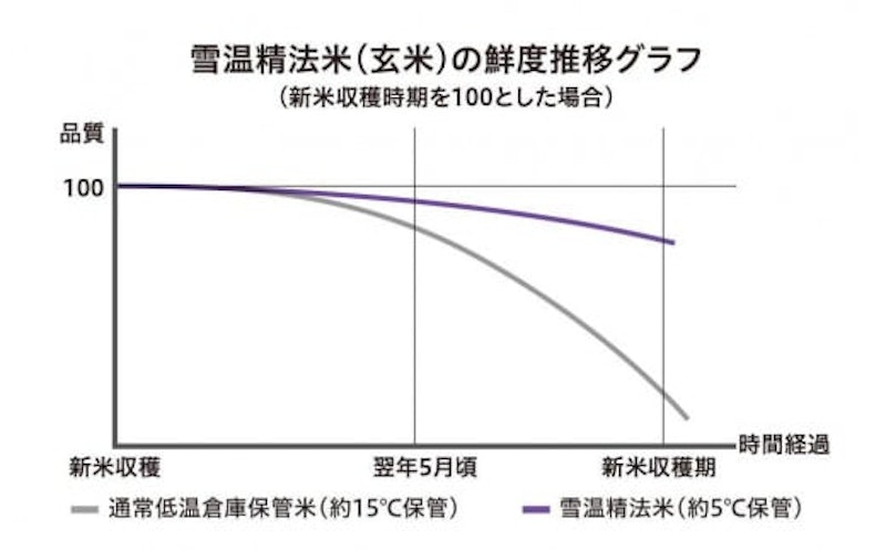 南魚沼産こしひかり 定期便 5