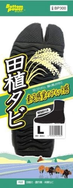 田植タビ 6