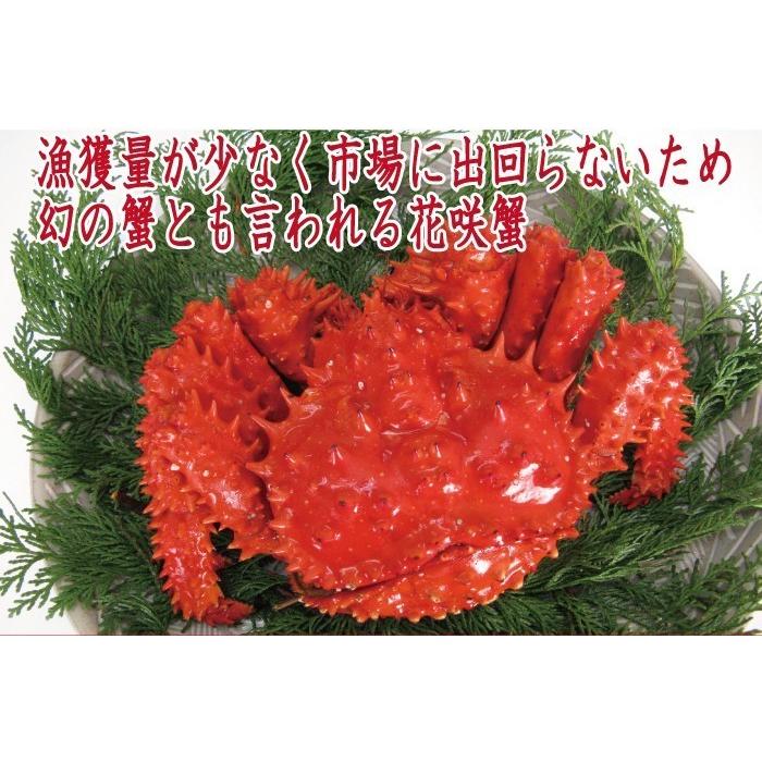 花咲かに 3